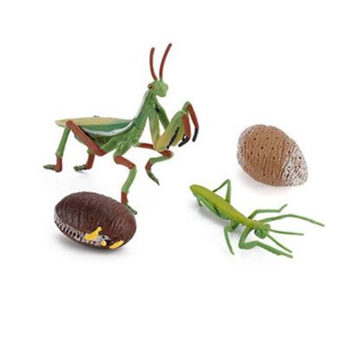 Jouet De Croissance De L'escargot Pour Enfants,Figurines De Bonification,Sauterelle Nitive,Vie,Mante Priante #D