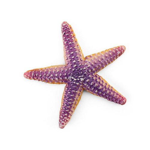 Modèle D'animal Océanique,Petite Andorre Blanche,Poisson Clown,Pieuvre,Étoile De Mer,Méduse Rose,Jouet Biologique Sous-Marin - Type Starfish