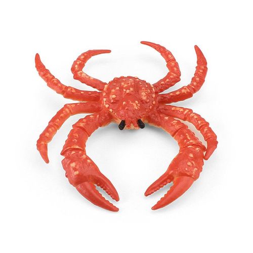 Modèle D'animal Océanique,Petite Andorre Blanche,Poisson Clown,Pieuvre,Étoile De Mer,Méduse Rose,Jouet Biologique Sous-Marin - Type Emperor Crab