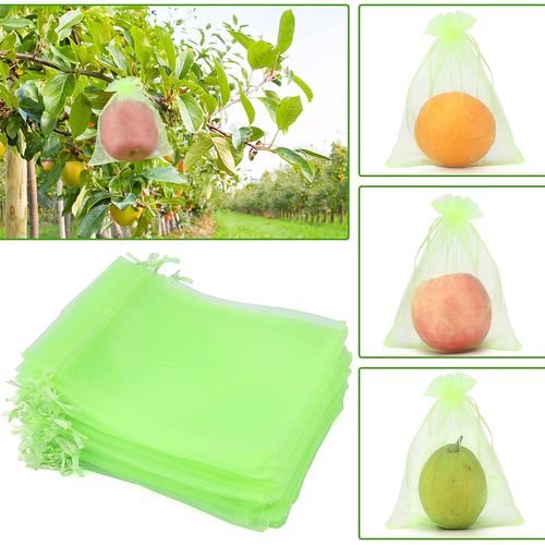 50 Pcs Sac Protection Raisin Sac de Protection Fruits Verts avec Cordon Sac Organza Sac en Filet Transparent Empêcher Guêpes Drosophile Insectes Oiseaux