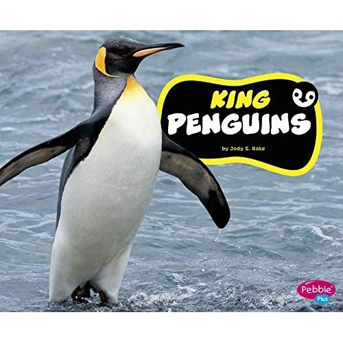 King Penguins
