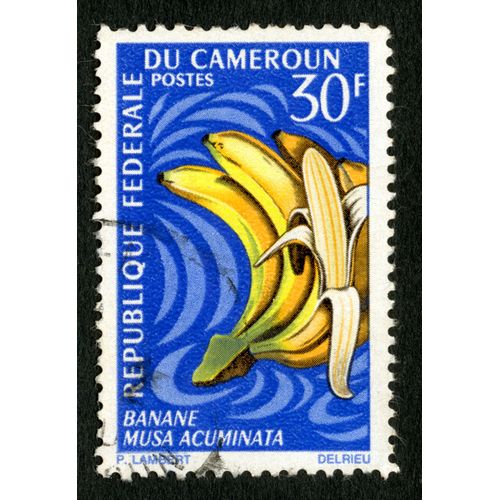 Timbre Oblitéré République Fédérale Du Cameroun, Banane Musa Acuminata, Postes, 30 F, Lambert, Delrieu