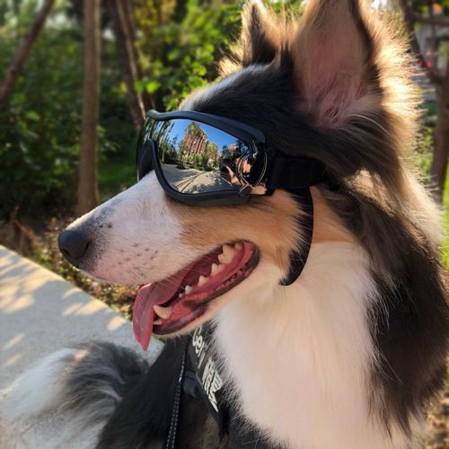 Lunettes De Soleil Pour Animaux De Compagnie, Coupe-Vent, Pliables, Pour Chiot, Petit Et Moyen Gabarit