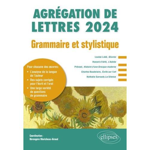 Grammaire Et Stylistique - Etude Grammaticale D'un Texte De Langue Française Postérieur À 1500 - Agrégation De Lettres