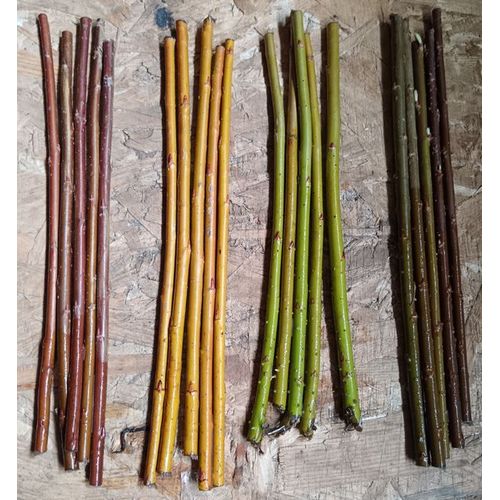 20 Bouture D'osier De Couleurs 5 Jaune 5 Verte 5 Rouge 5 Marron
