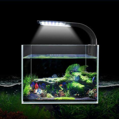 Eclairage Aquarium Led pas cher - Achat neuf et occasion