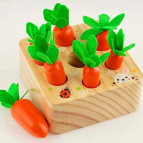 Jouet Montessori 1 2 3 Ans Enfant, Jeux d?Éveil Éducatifs Montessori Bébé  12-36 Mois, Récolte de Carottes en Bois Puzzle, Jeu de Tri Motricité,  Cadeaux d'anniversaire Garçons Filles