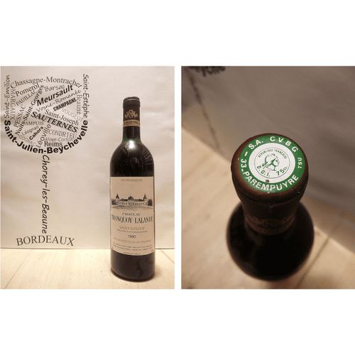 Château Tronquoy Lalande 1990 - Saint-Estèphe - Cru Bourgeois - 1 X 75 Cl - Rouge