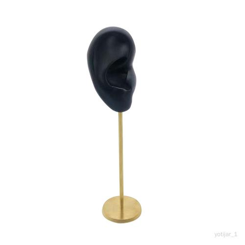 Présentoir De Boucles D'oreilles, Organisateur De Boucles D'oreilles Modèle D'oreille Humaine Support De Goujon Vitrine Support De Mannequin De Base Oreille Droite Noire