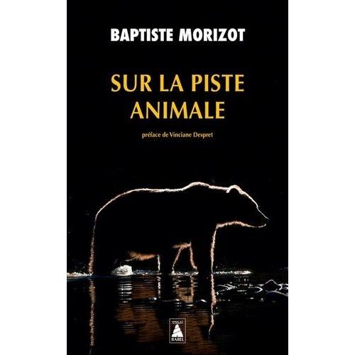 Sur La Piste Animale