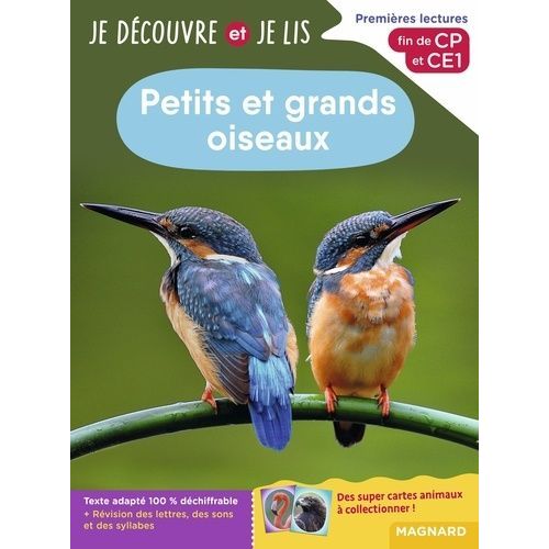 Petits Et Grands Oiseaux - Premières Lectures, Fin De Cp Et Ce1