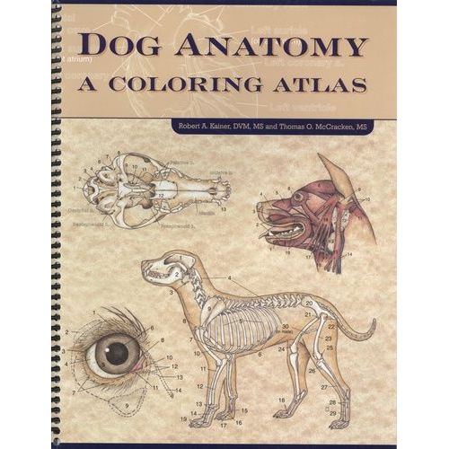Dog Anatomy - A Coloring Atlas