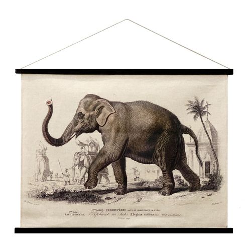 ORIGEN Home Decor Lienzo Enrollable Elefante Cuadros Crudo Rectangular 75x100x2cm<br /><br />