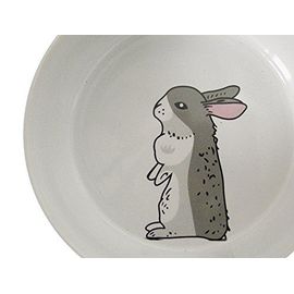 Nobby Gamelle En Céramique Pour Rongeurs Vert Blanc 11 Cm X 4 5 Cm