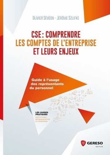 Cse : Comprendre Les Comptes De L'entreprise Et Leurs Enjeux - Guide À L'usage Des Élus Du Personnel