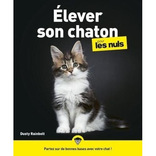 Elever Son Chaton Pour Les Nuls