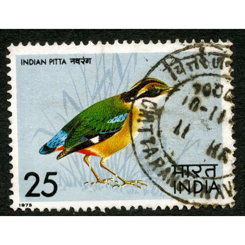 Timbre Oblitéré India, Indian Pitta, 1975, 25