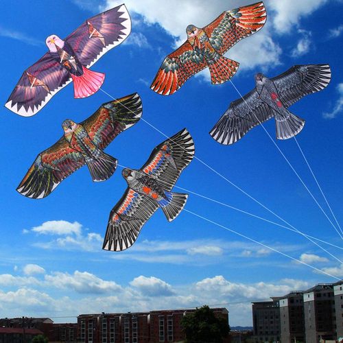Cerf-Volant En Forme D'aigle Plat De 1.1m, Sport De Plein Air, Énorme Cerf-Volant, Jouets D'extérieur Pour Enfants, Couleur Aléatoire, Ligne De 30 Mètres