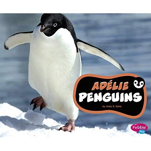 Adélie Penguins