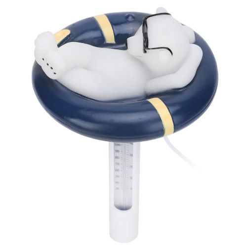 THERMOMETRE POUR PETITE PISCINE THERMOMETRE POUR PISCINE