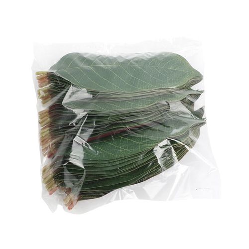 Feuilles De Magnolia Vertes Artificielles, Lot De 50, Pour Décor De Mariage, Décor De Maison, Signet Décoratif De Livre