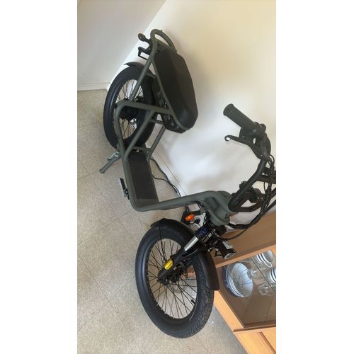 Draisienne Vélo Électrique