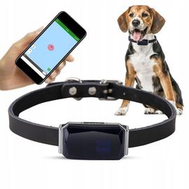Orange, Jaune) Collier Airtag pour chien, étui en silicone pour traceur  GPS, étui de protection compatible avec Apple Airtag, sécurité contre la  perte.
