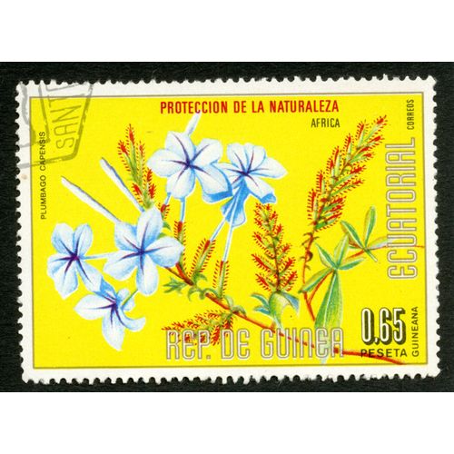 Timbre Oblitéré Rep. De Guinea Ecuatorial, Proteccion De La Naturaleza, Plumbago Capensis, Africa, 0.65 Peseta