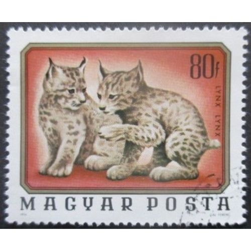 Hongrie N°2482 Lynx Oblitéré