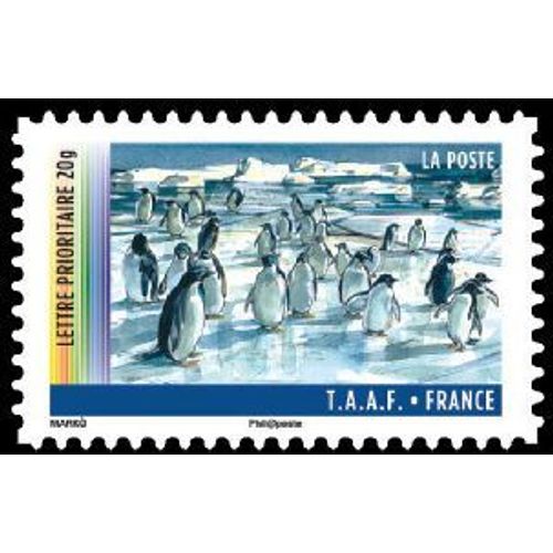Timbre France 2011 Oblitéré - T.A.A.F (Terres Australes Et Antarctiques Françaises) Manchons Sur La Banquise - Prioritaire 20 G Yt647