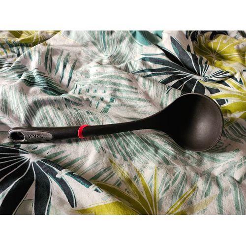 Louche Tefal