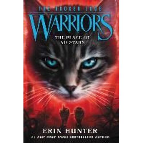 Warriors: The Broken Code #5: The Place Of No Stars