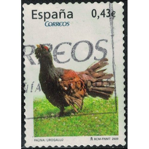 Espagne 2009 Oblitéré Used Oiseau Gallinacé Tetrao Urogallus Grand Tétras Y&t Es 4110 Su