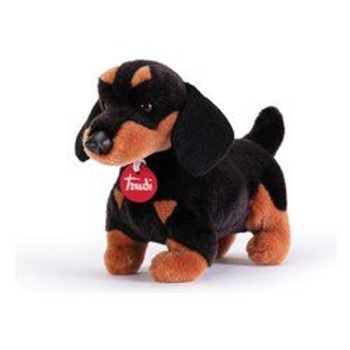 Trudi - Basset Leo