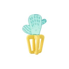 Anneau De Dentition Fresh Relax 4m+ - Cactus - Bleu