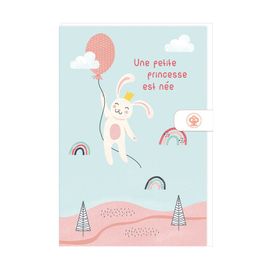 Faire-Part De Naissance Avec Enveloppe "Une Petite Princesse Est Née" - Bleu