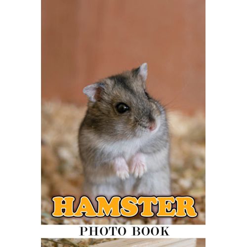 Hamster Photo Book: Mouse Species Colorful Photograph Album For All Ages To Unleash The Creativity Energy | Ideal Gift For Animal Lovers
