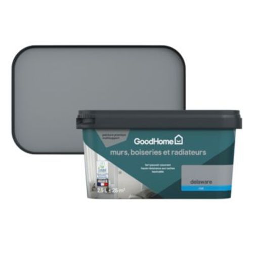 Peinture intérieure couleur murs  boiseries et radiateurs GoodHome mat delaware gris 2.5L