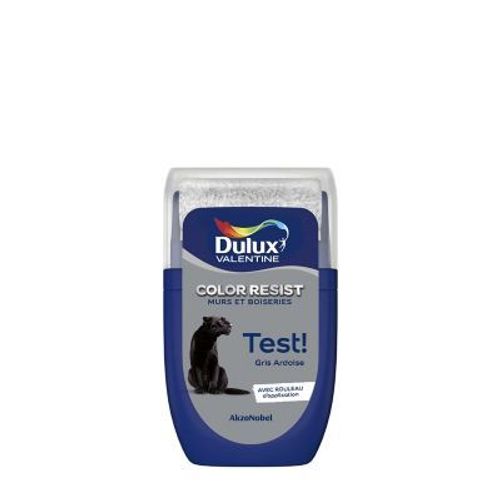 Testeur de peinture Color Resist murs et boiseries Dulux Valentine mat gris ardoise 30ml