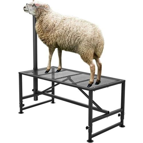 Support De Manipulation Du Bétail-Vevor-119,4 X 58,4 Cm-Comprend Une Têtière Et Une Boucle De Nez, Supporte Jusqu'à 226 Kg-Noir-Autre