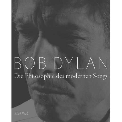 Die Philosophie Des Modernen Songs