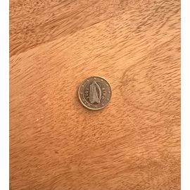 Pièce Rare 1 Euros Irlande 2002