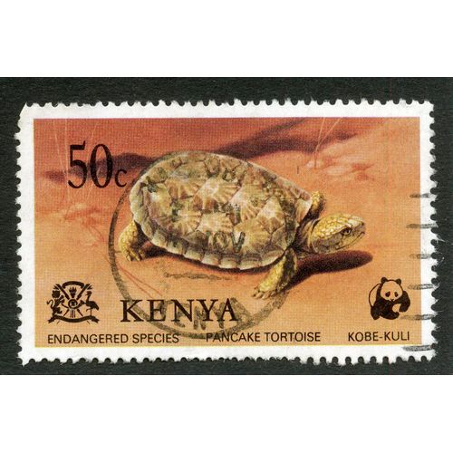 Timbre Oblitéré Kenya, Endangered Species, Pancake Tortoise, Kobe-Kuli, 50 C