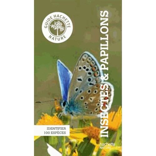 Insectes & Papillons