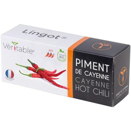 Lingot Piment De Cayenne Pour Potager Véritable