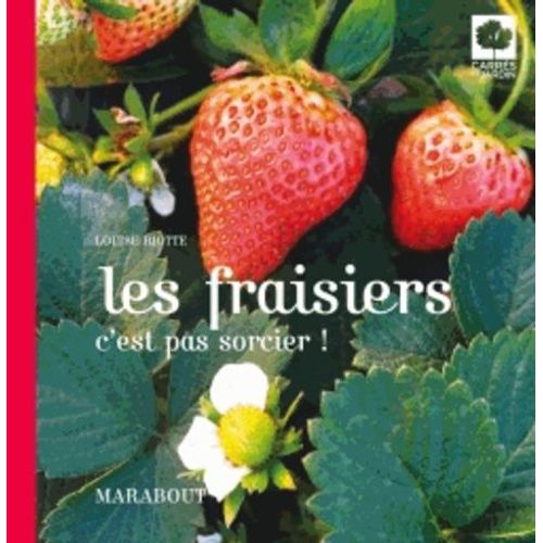 Les Fraisiers C'est Pas Sorcier !