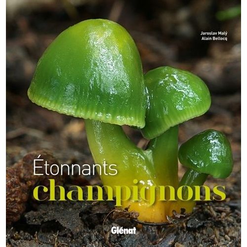 Etonnants Champignons