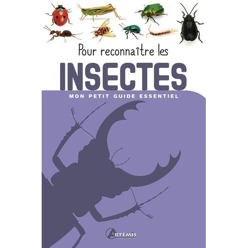 Pour Reconnaître Les Insectes