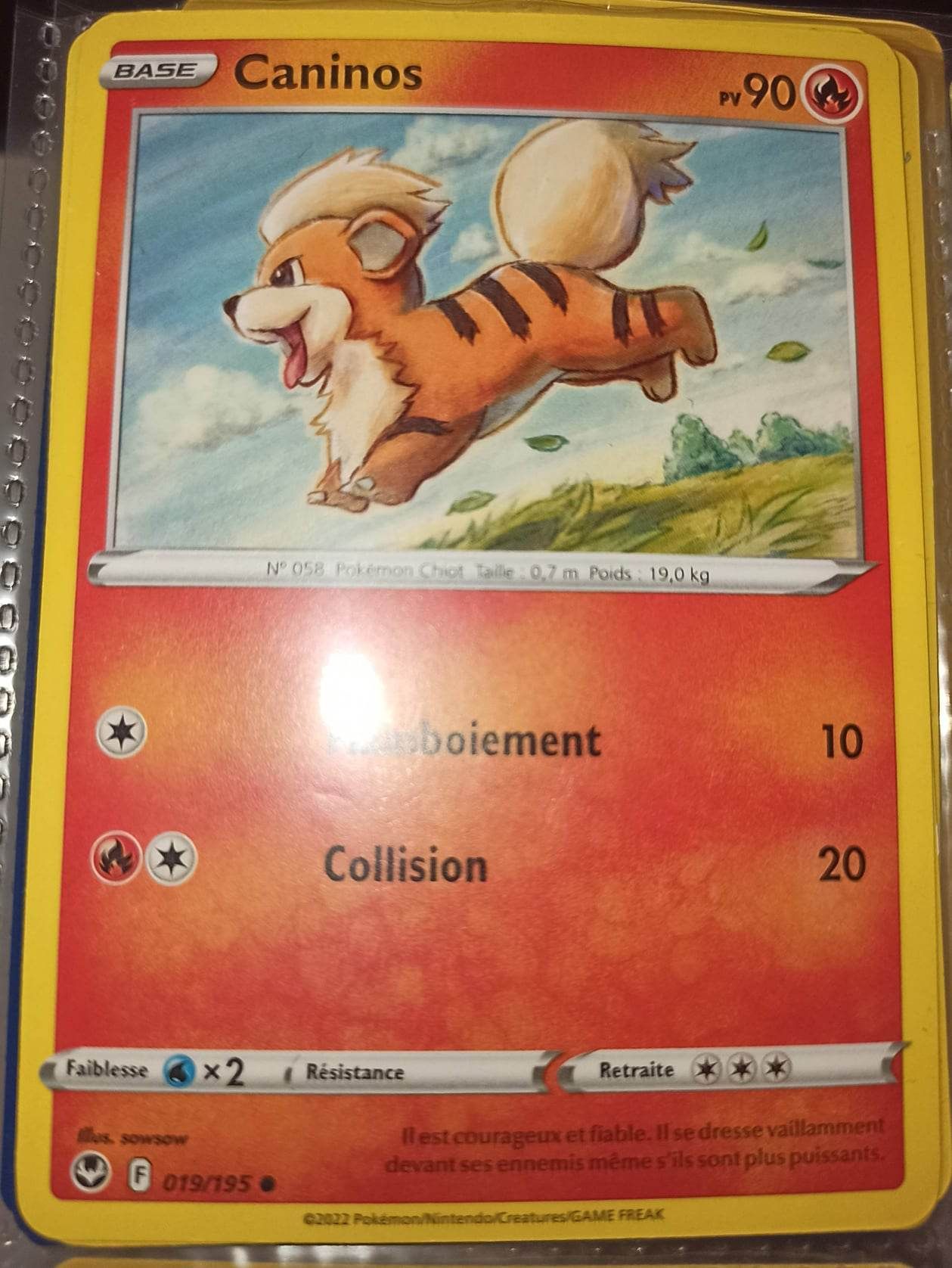 Commune - Pokemon - Tempête Argentée - Caninos 19/195