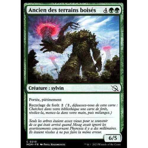 Ancien Des Terrains Boisés - Magic - L' Invasion Des Machines - C - 210